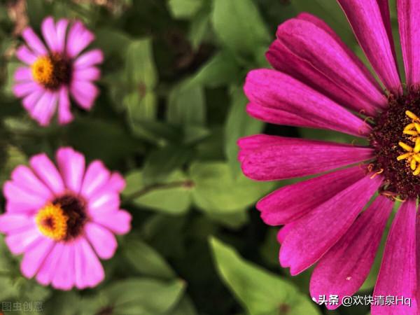 愛出者愛返，福往者福來，善良之人，必有好報