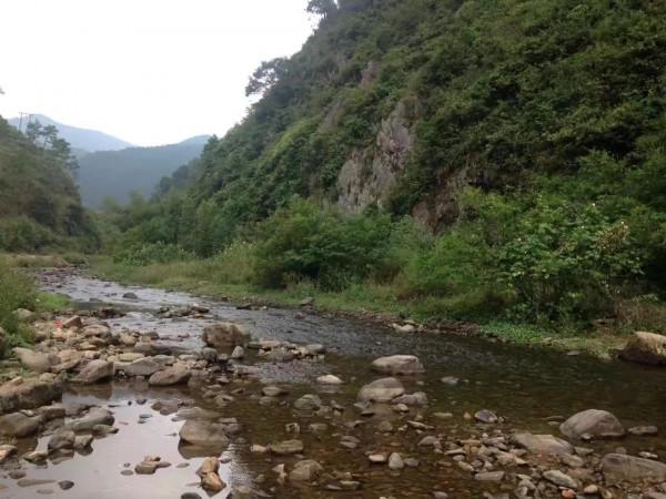 竹筒飯,叫花雞,烤番薯……廣東大山深處的美味 竹筒飯,叫花雞,烤番薯……廣東大山深處的美味