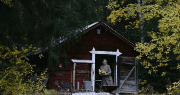 “北歐李子柒”隱居十年，瑞典旅遊局為她打call，卻被網友罵