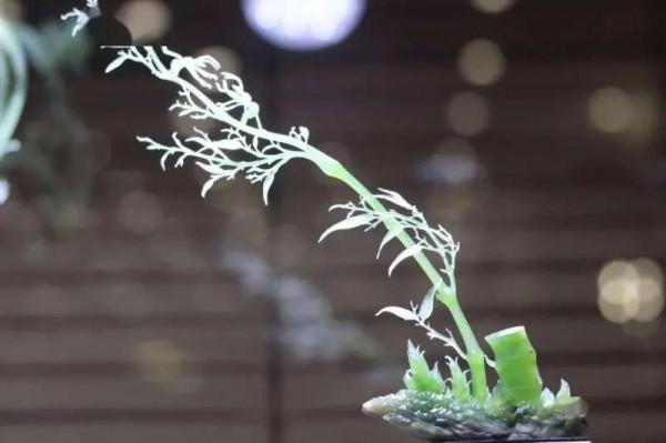 2020年“陸子岡杯”玉雕作品欣賞