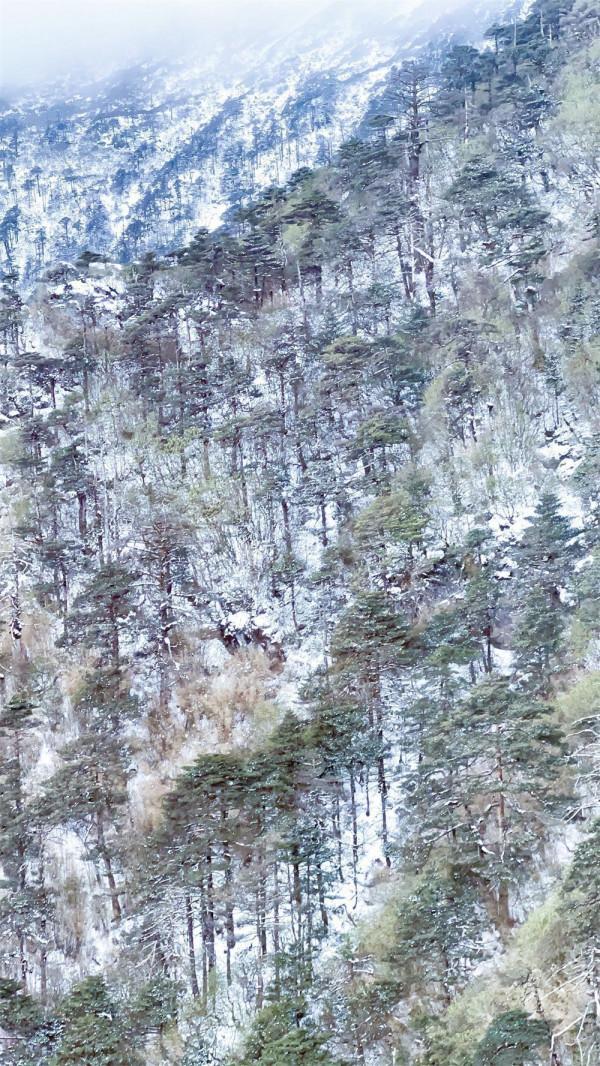 【美麗大理】雪後初霽的蒼山,有多浪漫? 【美麗大理】雪後初霽的蒼山,有多浪漫?