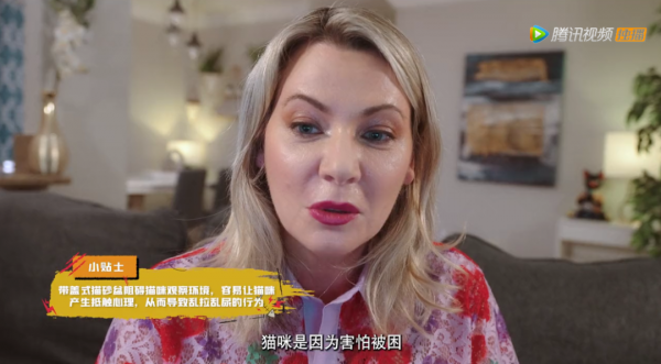 謝霆鋒不當廚子竟跑去撩她?網友直呼:啥都幹,就是不拍電影 謝霆鋒不當廚子竟跑去撩她?網友直呼:啥都幹,就是不拍電影