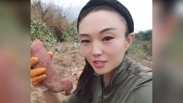 君妹:農村姑娘退伍回老家創業,承包300畝果園一夜爆紅網路 君妹:農村姑娘退伍回老家創業,承包300畝果園一夜爆紅網路