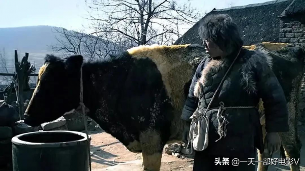 人不像人,狗不像狗,黃渤封帝之作 人不像人,狗不像狗,黃渤封帝之作