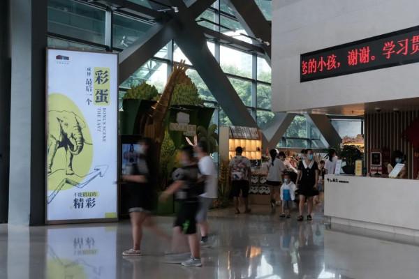 我一下午在成都戳了105個章 我一下午在成都戳了105個章