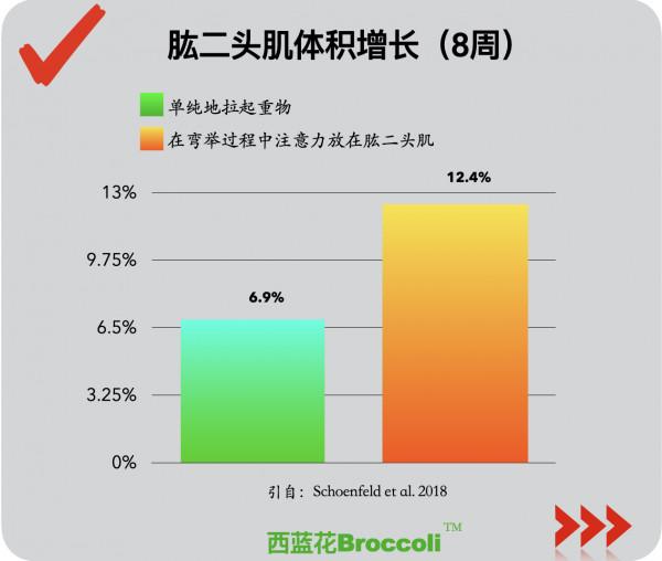 判斷：在肱二頭肌彎舉中，有意識地擠壓肌肉能夠提高肌肉體積嗎？