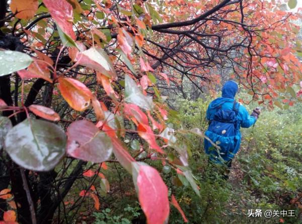 華夏龍脈,秦嶺北麓七十二峪,崇山峻嶺,千溝萬壑,到底有多壯美 華夏龍脈,秦嶺北麓七十二峪,崇山峻嶺,千溝萬壑,到底有多壯美