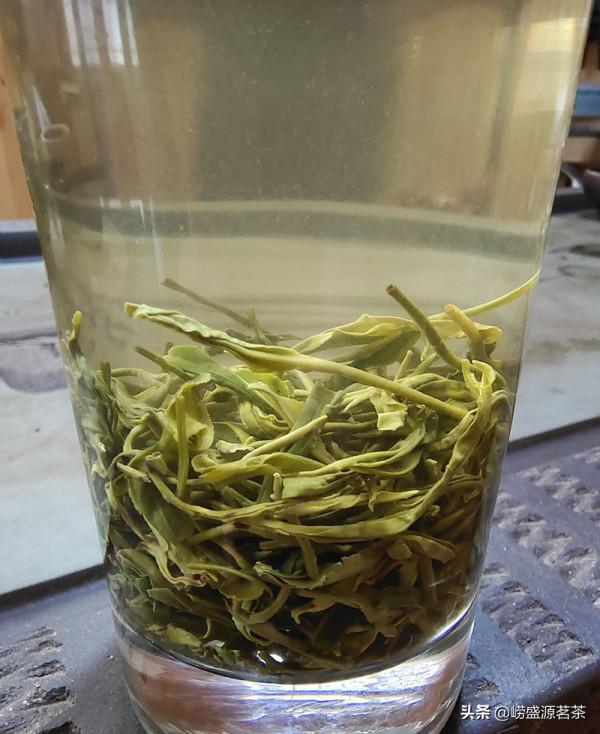 怎樣喝嶗山綠茶不會刺激胃? 怎樣喝嶗山綠茶不會刺激胃?