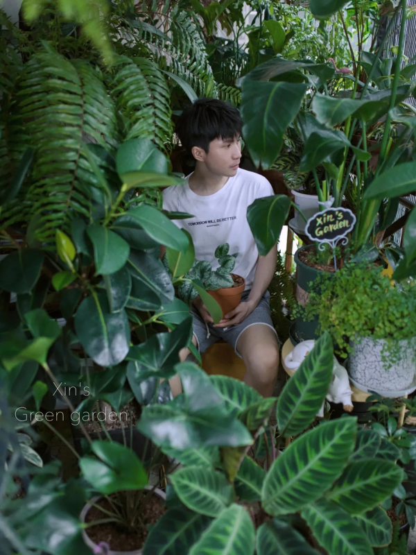 沒有花園怎麼種花？從東北到廣東，4位大神在室內種出植物園
