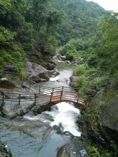 5男3女一起進山遊玩，下山離開時只有7人，保安：有點不對勁