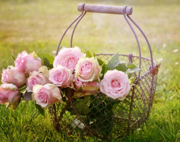 有本事,卻很低調的星座,表面沉默寡言,實際上有手段 有本事,卻很低調的星座,表面沉默寡言,實際上有手段