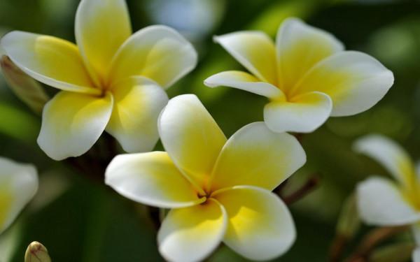 9月21日星座運勢:大膽嘗試,義無反顧的四大星座 9月21日星座運勢:大膽嘗試,義無反顧的四大星座