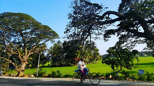 斯里蘭卡之旅(17)蒂瑟默哈拉默 斯里蘭卡之旅(17)蒂瑟默哈拉默