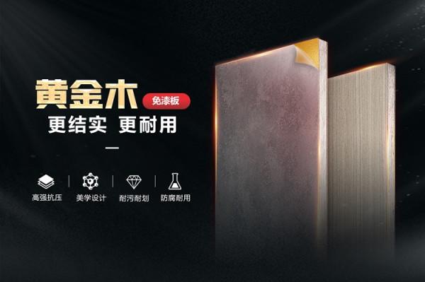 聚焦家裝T20峰會，大王椰板材攜手全國裝企共築幸福家