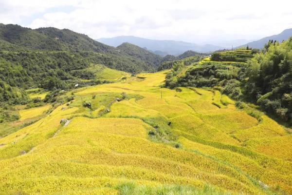2022年旅行計劃,按著月份走,一鍵解鎖各大美景,快快收藏 2022年旅行計劃,按著月份走,一鍵解鎖各大美景,快快收藏