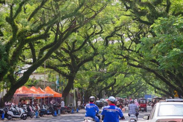 景色比三亞好,這座有山有海、好吃又便宜的城市,終於要藏不住了 景色比三亞好,這座有山有海、好吃又便宜的城市,終於要藏不住了