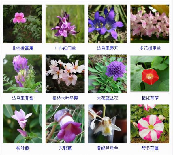 認識這常見800種景觀觀花植物,從此花神就是你!附植物習性種植 認識這常見800種景觀觀花植物,從此花神就是你!附植物習性種植