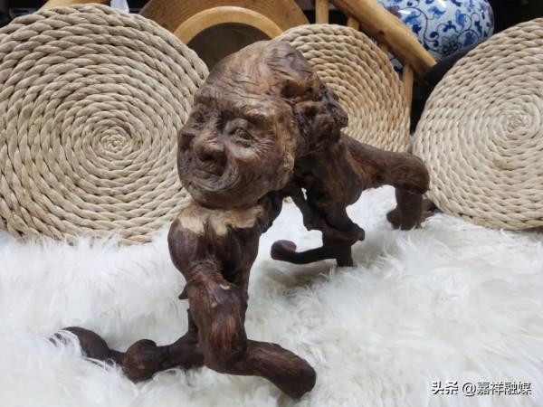 “朽木”亦可雕 “朽木”亦可雕