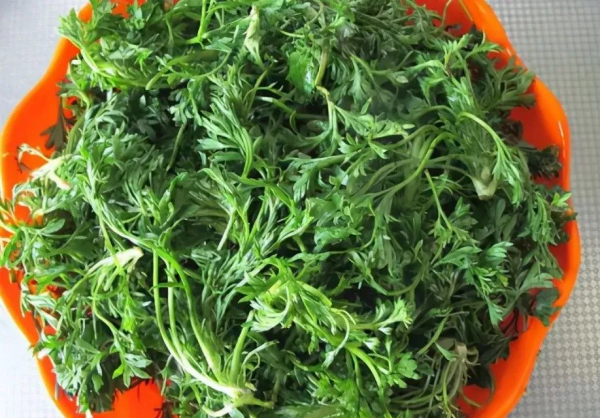 春天這菜全身都是寶，可惜好多人當草，一次做一大盆不夠吃，真香