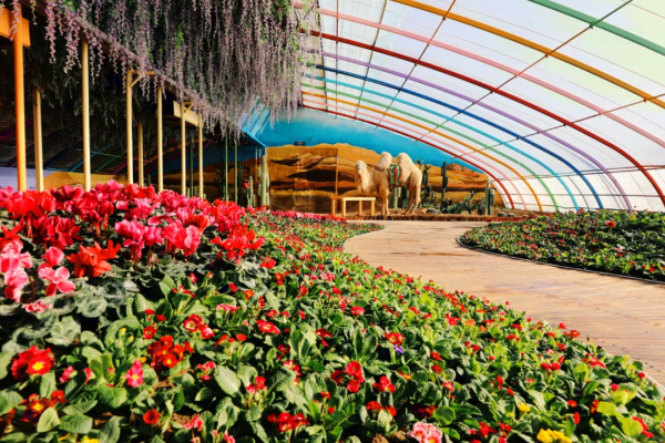 即日起，免費！