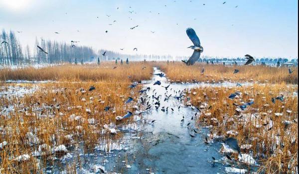 江蘇文旅頭條 &vert; 享受冰雪世界樂趣，這20條主題遊線路不容錯過