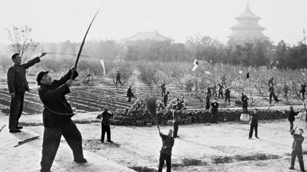 不講道理的天敵相剋:一物降一物,來看看海洋生物的食物鏈 不講道理的天敵相剋:一物降一物,來看看海洋生物的食物鏈