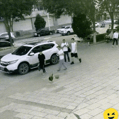 笑噴！聽聞國足兵敗越南，動物城的朋友紛紛發起瘋狂挑戰