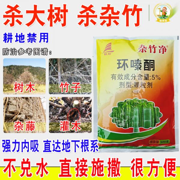 殺樹殺竹三年不長草？環嗪酮和甲嘧磺隆是什麼關係？