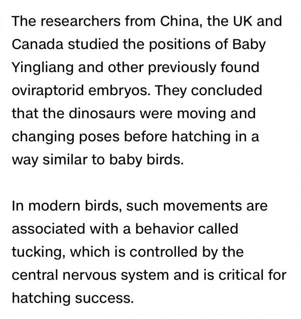 讀CNN學英語：恐龍胚胎化石