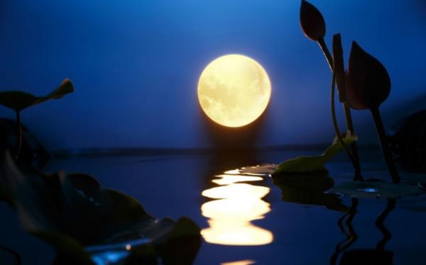 一掃黑暴陰霾,灣區升起明月!中華文化璀璨,孤光自照肝膽皆冰雪 一掃黑暴陰霾,灣區升起明月!中華文化璀璨,孤光自照肝膽皆冰雪