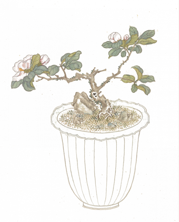 二十四節氣，一年說到頭