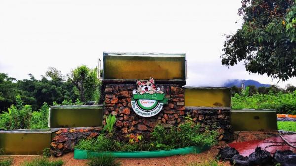 投入2000萬苦研“魚菜共生”,只為讓更多人平價吃到頂級食材 投入2000萬苦研“魚菜共生”,只為讓更多人平價吃到頂級食材