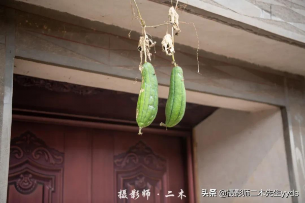 漁業資源豐富,小石口漁民靠打漁過上市裡海邊兩點一線的幸福生活 漁業資源豐富,小石口漁民靠打漁過上市裡海邊兩點一線的幸福生活