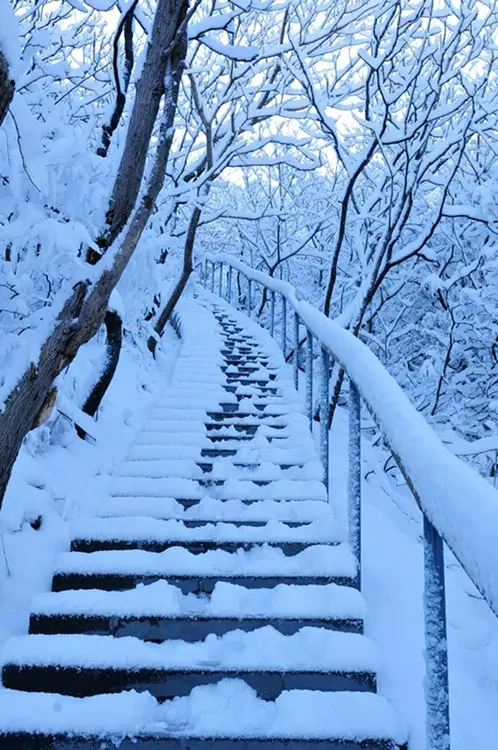 這個太行山餘脈進入京城的最後一道山樑，雪後有意想不到的美