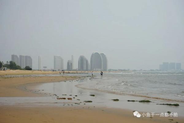 雞鳴早起，趕海拾貝的日子-東戴河（四）