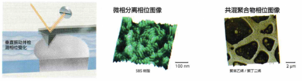 掃描探針電子顯微鏡力學特性