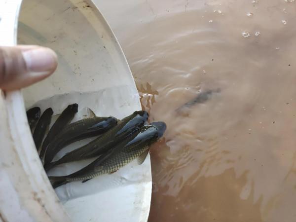 封竿6年有餘,重回釣壇沒做好準備用過期餌垂釣看看能不能有收穫 封竿6年有餘,重回釣壇沒做好準備用過期餌垂釣看看能不能有收穫