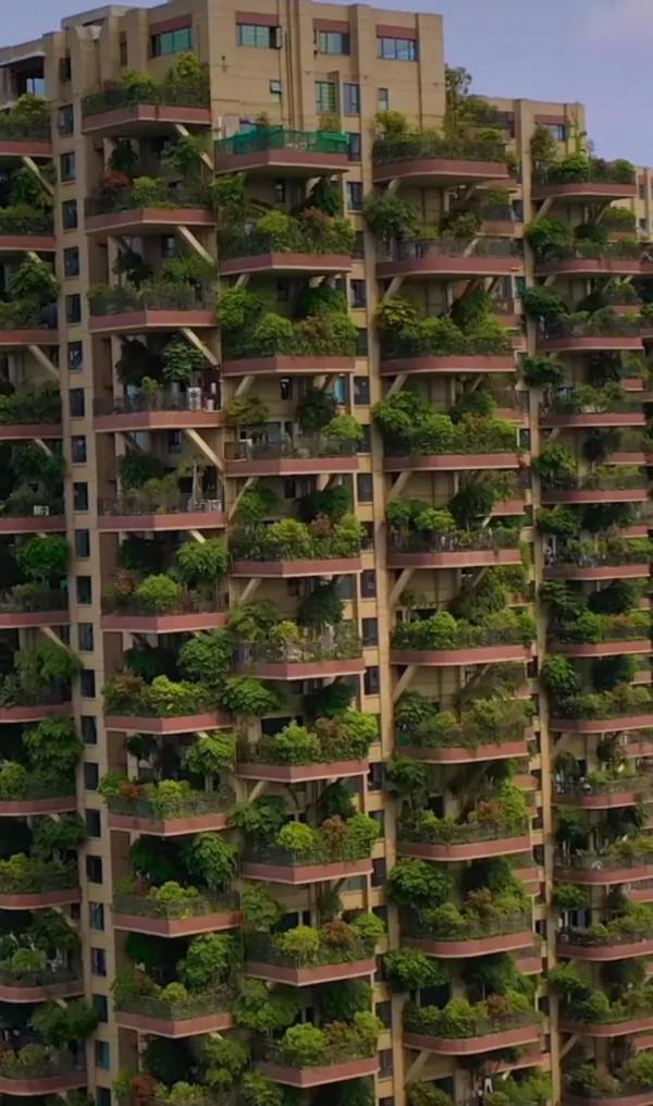 城市住宅分四代：一代茅草房二代磚瓦房三代電梯房四代空中庭院房