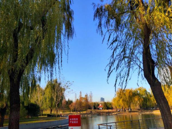 四得公園 Ⅰ 景色迷人,自然清新,體育休閒好處去 四得公園 Ⅰ 景色迷人,自然清新,體育休閒好處去