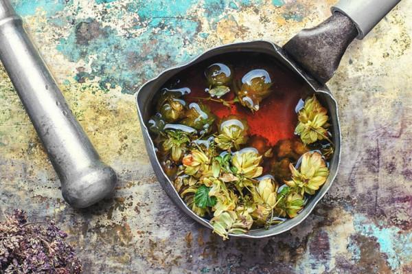 用啤酒花是高檔啤酒?用啤酒花浸膏是低檔啤酒?都不對!別搞錯了 用啤酒花是高檔啤酒?用啤酒花浸膏是低檔啤酒?都不對!別搞錯了