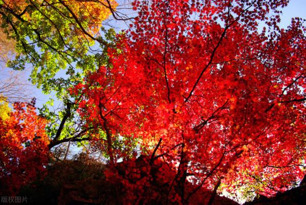 吉林冷知識：推薦吉林省20個世界之最和中國之最，你還知道哪些？