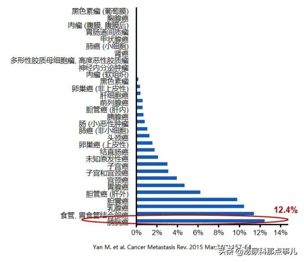 病例分享 | 維迪西妥單抗(RC-48)聯合PD-1在膀胱癌中的應用 病例分享 | 維迪西妥單抗(RC-48)聯合PD-1在膀胱癌中的應用