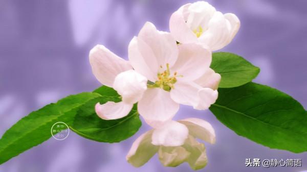 無論你怎麼努力，也不要期望別人滿意