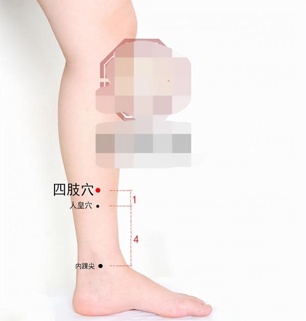 中醫針灸肩部疾病處方1 中醫針灸肩部疾病處方1
