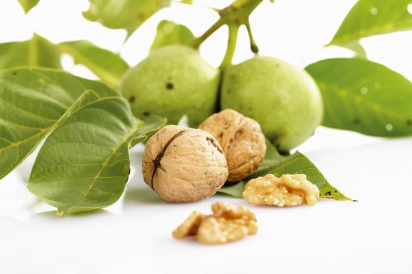 核桃美味又健康,吃核桃容易胖嗎?正確吃核桃,不用擔心發胖 核桃美味又健康,吃核桃容易胖嗎?正確吃核桃,不用擔心發胖