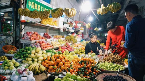 一個人來北海看海了 一個人來北海看海了