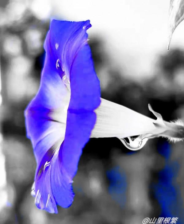 相愛容易相守難——《詩經》中的愛情和婚姻 相愛容易相守難——《詩經》中的愛情和婚姻