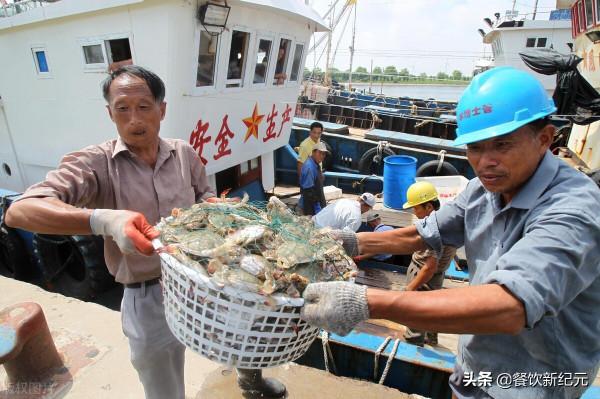 往年大閘蟹搶著買，如今中秋遇冷賣不動，養殖戶無奈：名聲搞臭了