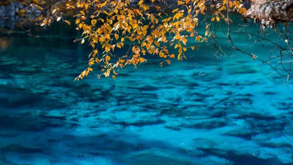 震後4年-九寨溝變成什麼樣了