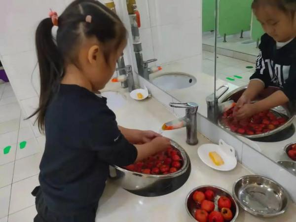 親近自然 收穫快樂——南獨樂河幼兒園小農場豐收啦 親近自然 收穫快樂——南獨樂河幼兒園小農場豐收啦